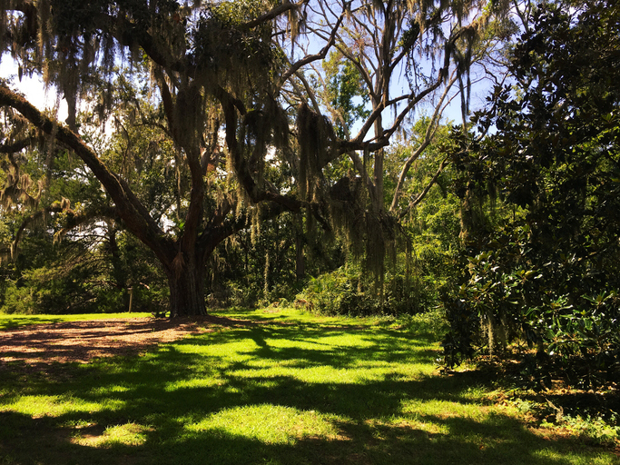 nature walks in Pinckney Island National Wildlife Refuge